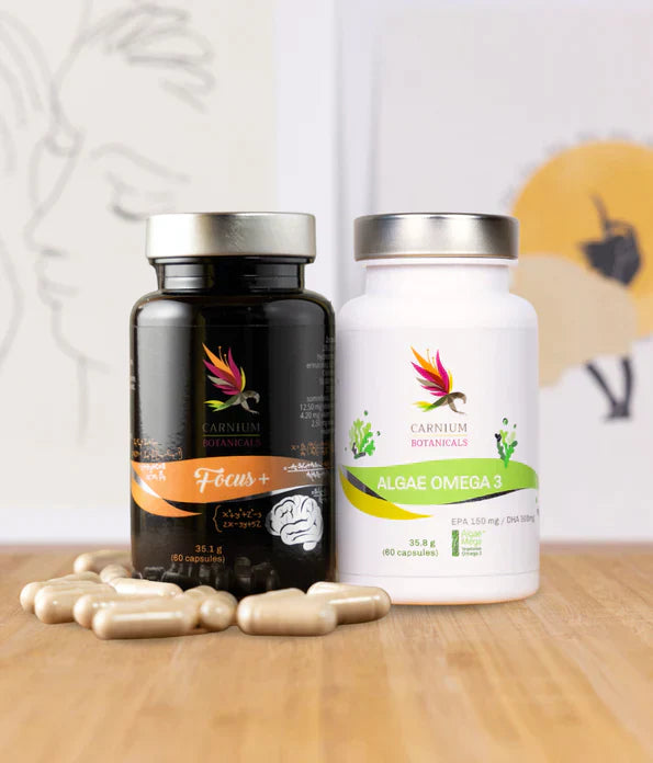 Πακέτο Ανακαλύψτε το δυναμικό του εγκεφάλου σας